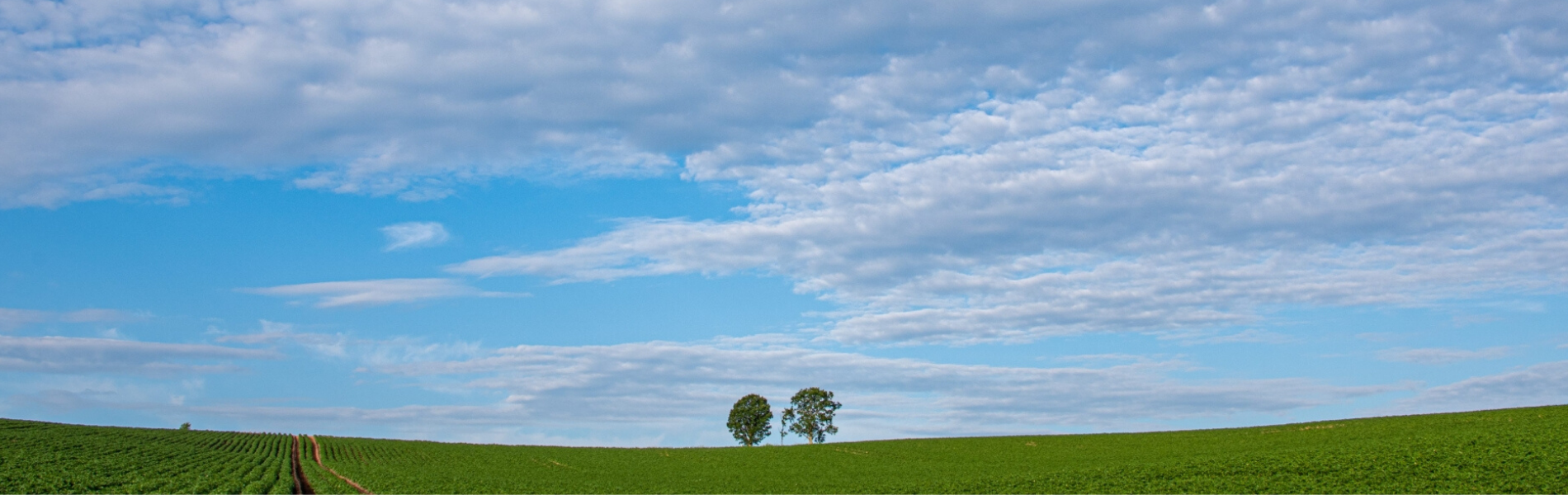札幌カウンセリングルームまある